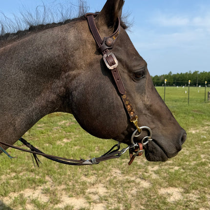 Designer Inspired Headstall With Quick Snaps *SOLD OUT*