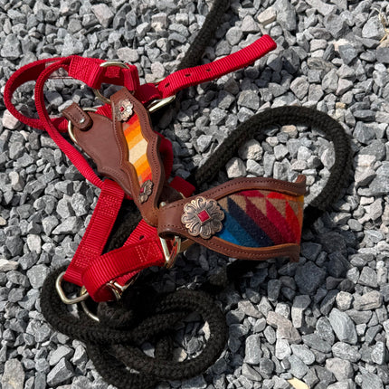 Pendleton Halter