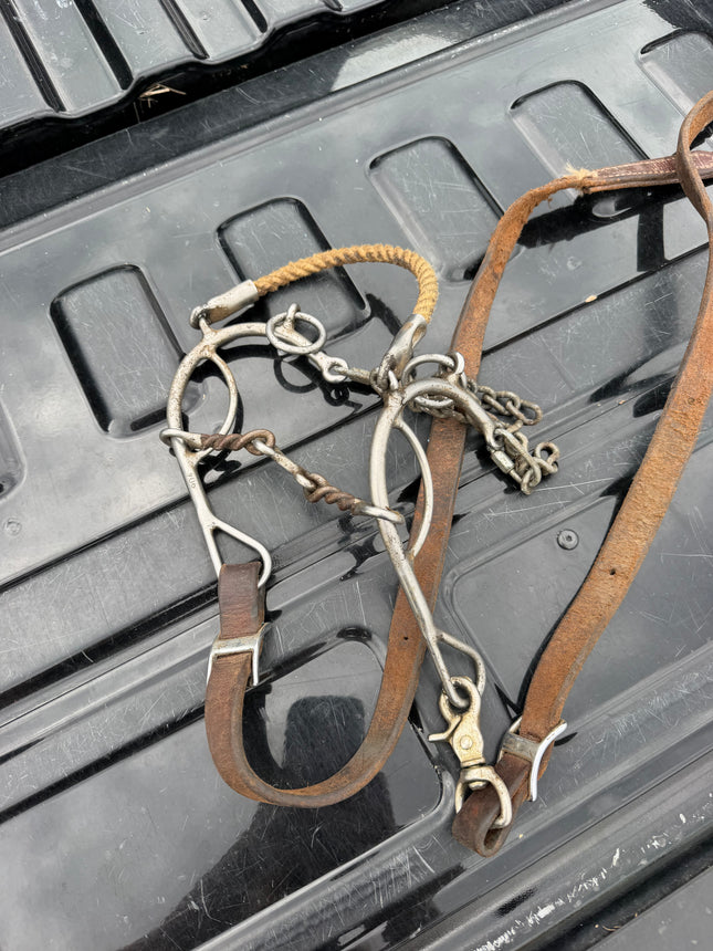 Reinsman Bit With Reins