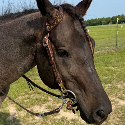 Designer Inspired Headstall With Conchos *SOLD OUT*