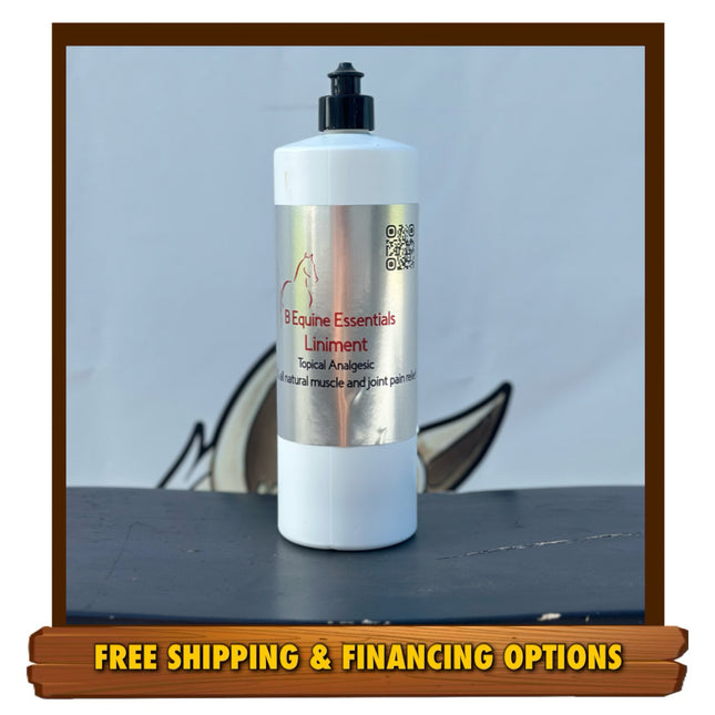 B Equine Liniment 32oz